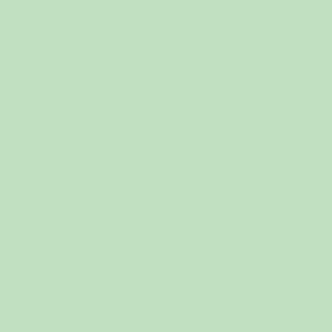 Dreamy Dimple Minky Sweet Mint - Yardage