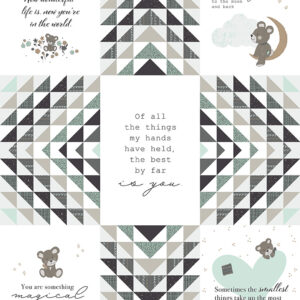 Sleep Tight Mint Panel - Riley Blake Designs