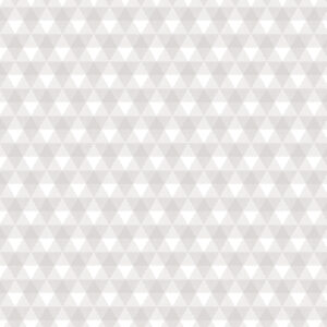 Land of Liberty Grey Gingham - Yardage