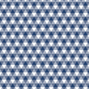 Land of Liberty Gingham Navy - Yardage