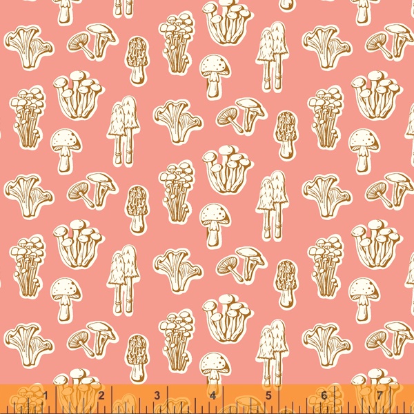 Summer School Fat Quarter Bundle - Windham Fabrics - Image 22