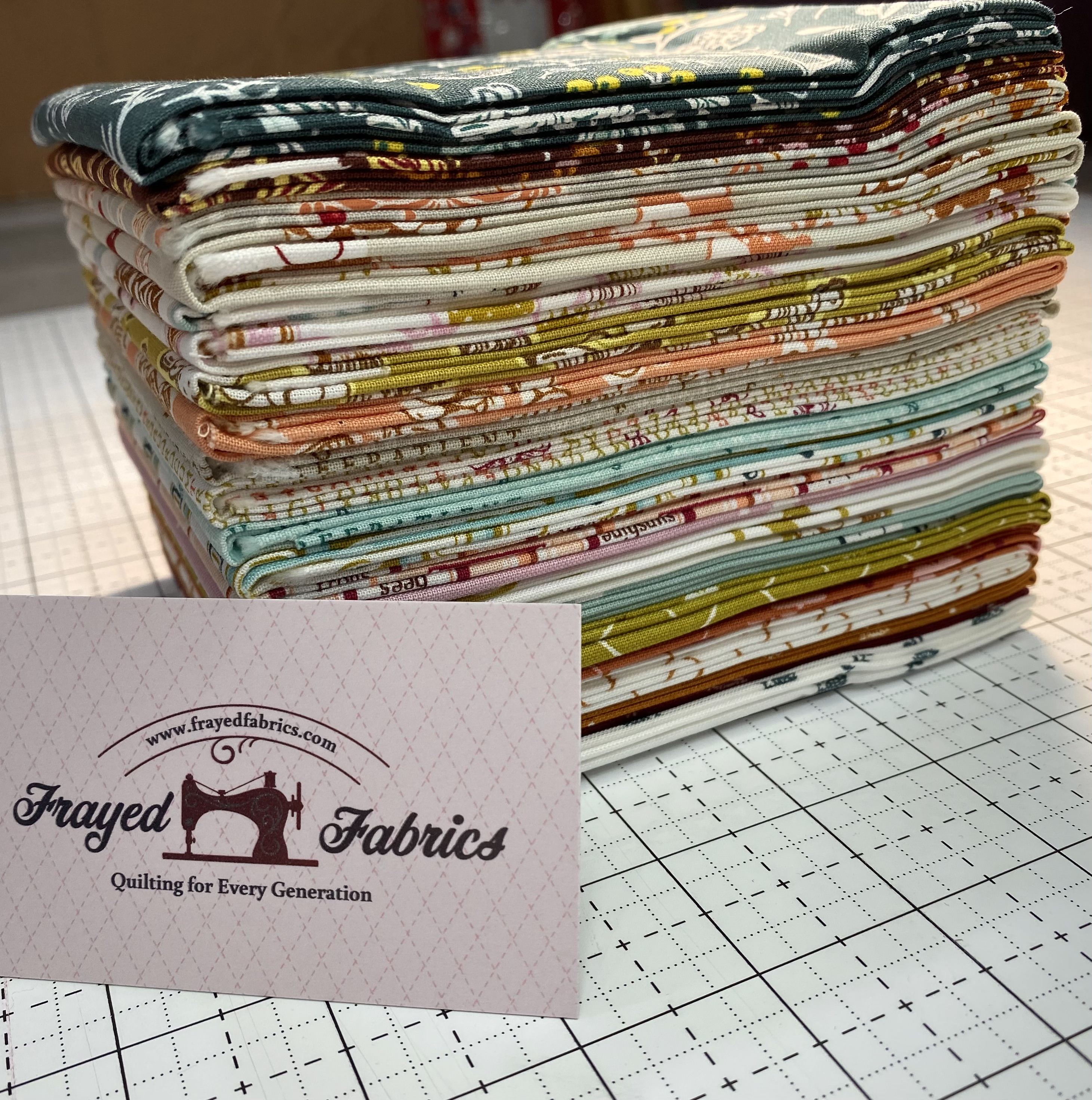 Summer School Fat Quarter Bundle - Windham Fabrics - Image 2