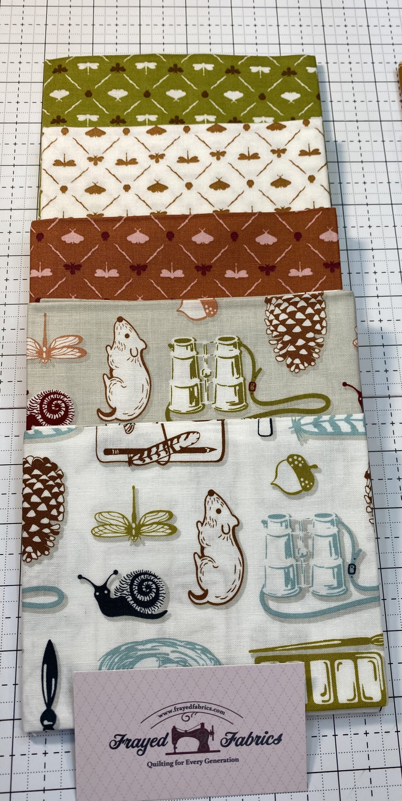 Summer School Fat Quarter Bundle - Windham Fabrics - Image 13