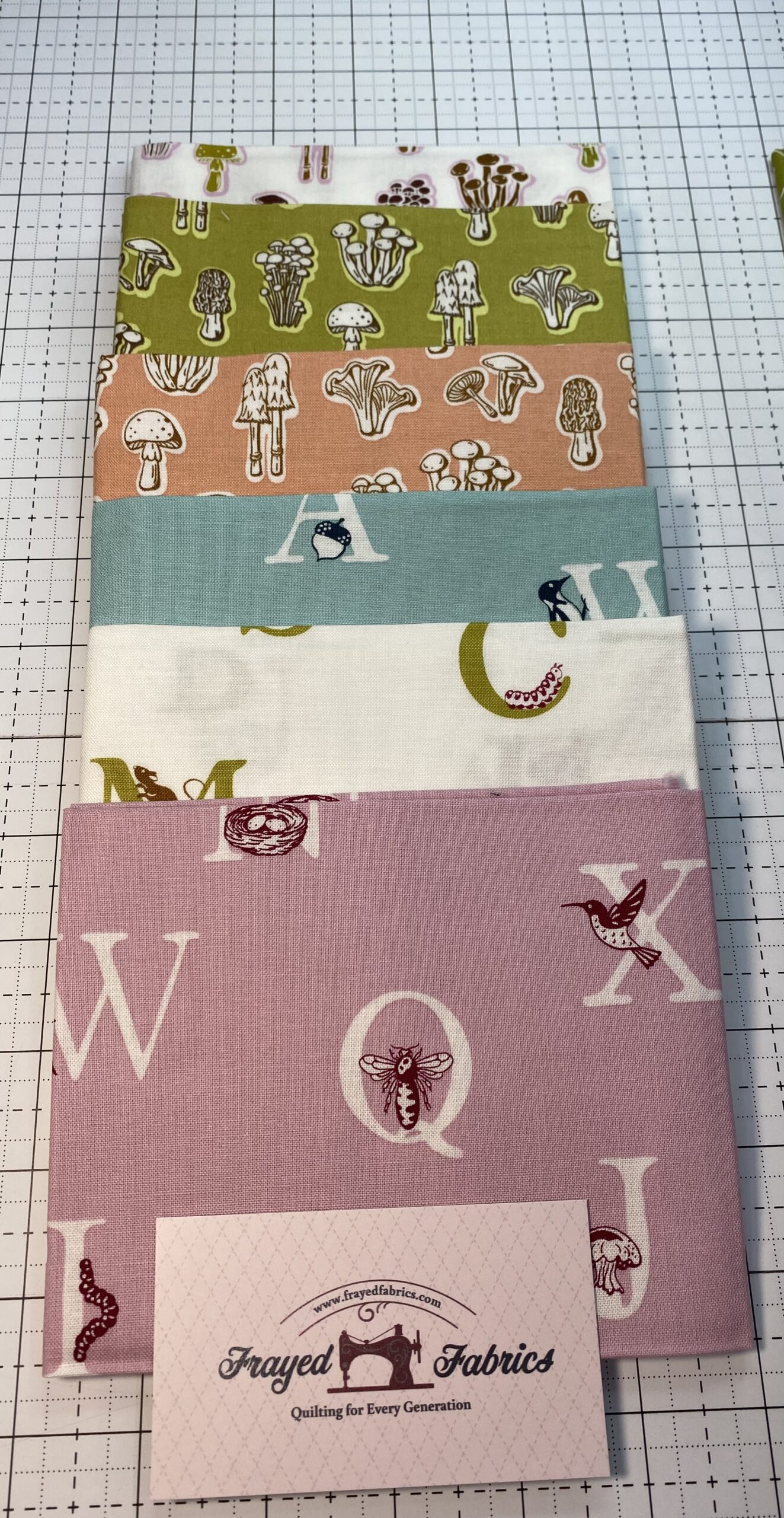 Summer School Fat Quarter Bundle - Windham Fabrics - Image 12