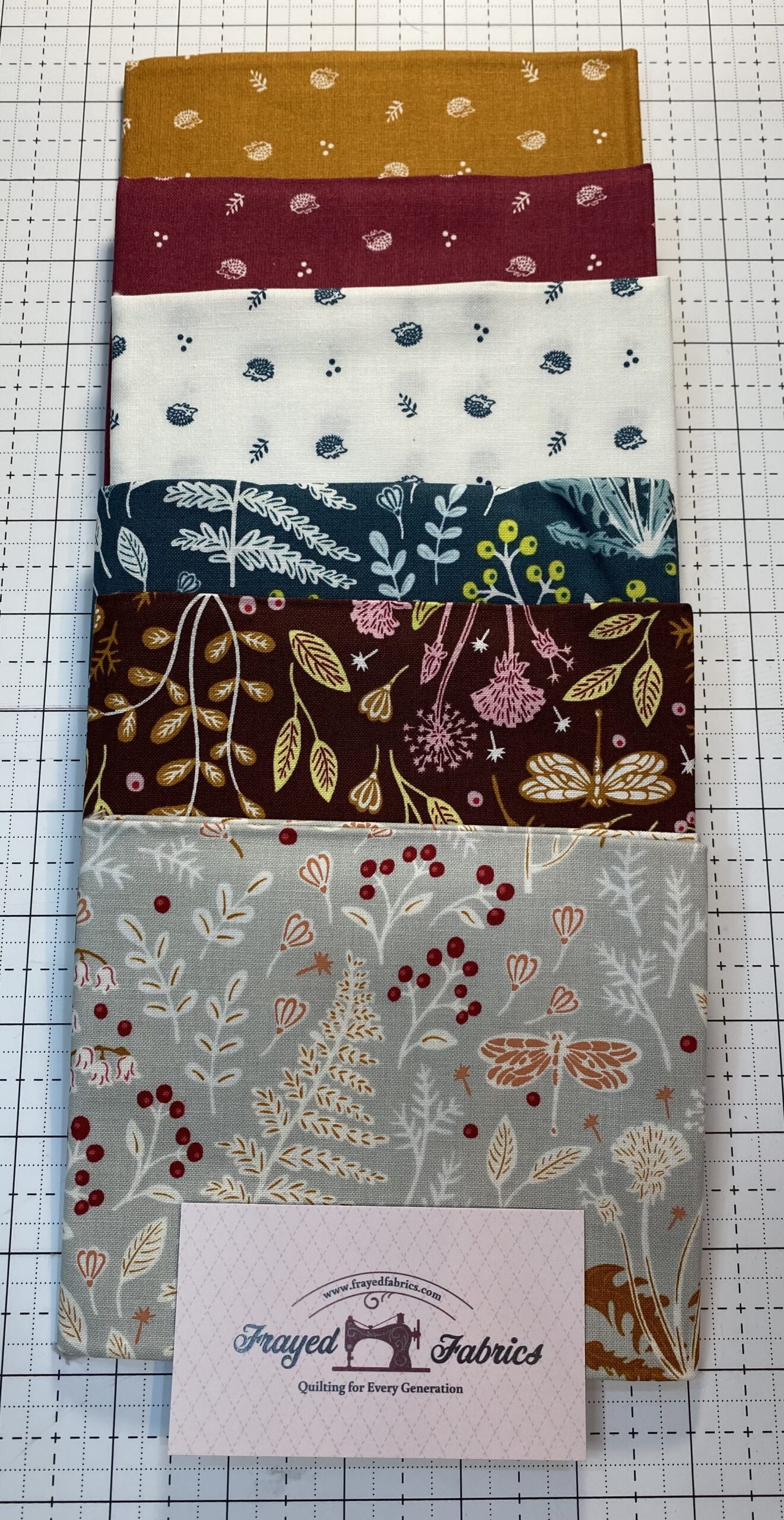 Summer School Fat Quarter Bundle - Windham Fabrics - Image 14