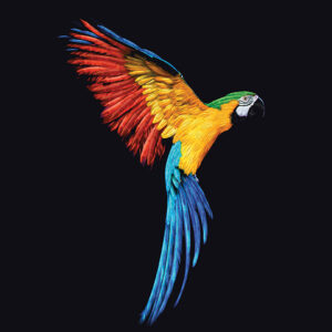 It's a Crayola World Parrot Panel - Riley Blake Designs