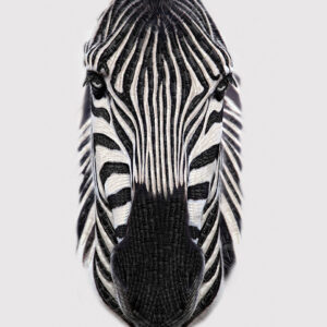 It's a Crayola World Zebra Panel - Riley Blake Designs