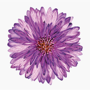 It's a Crayola World Flower Panel - Riley Blake Designs