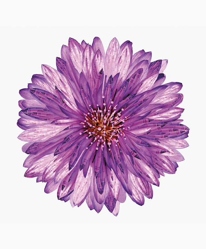 It's a Crayola World Flower Panel - Riley Blake Designs