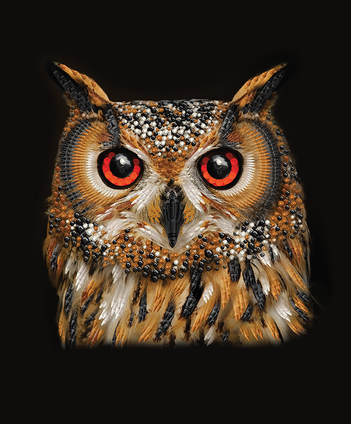 It's a Crayola World Owl Panel - Riley Blake Designs
